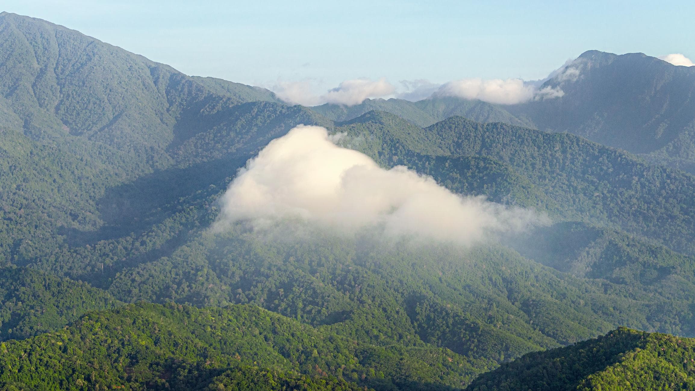 Sustainable Tourism and the Growing Role of Air Tours